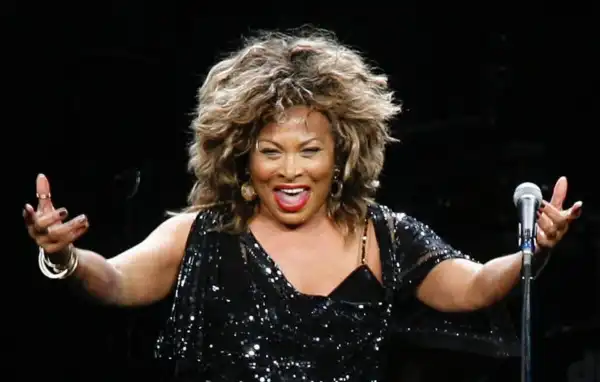 Career & Net Worth Of Tina Turner