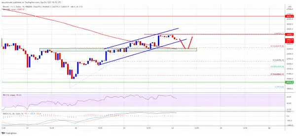 Bitcoin Revisits $45K, Why Dips Turn Attractive In Short-term