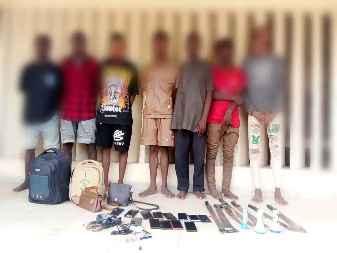 Police arrest seven suspected robbers, recover 14 handsets in Suleja