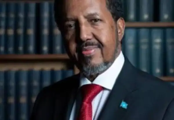 Nigerian envoy, Danlami Ibrahim presents letters of credence to Somalia President