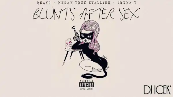 Quavo Ft. Megan Thee Stallion & Pusha T - Blunts After S*x