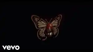 Morravey - My Lover (Video)
