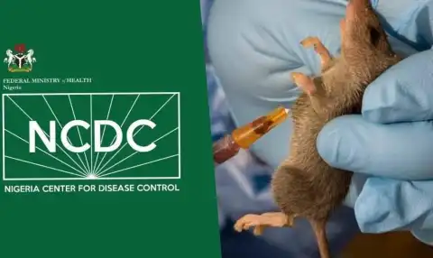 NCDC confirms 14 new cases of Lassa fever