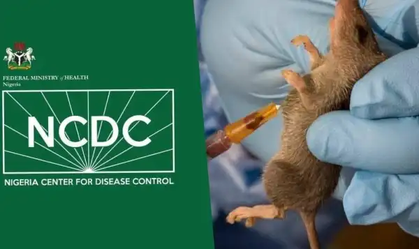 NCDC confirms 14 new cases of Lassa fever