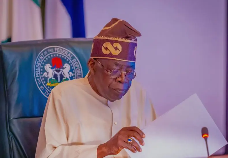 We won’t allow political speculation, opposition regrouping to derail us – Nigerian govt