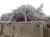 Experts demand strict action, as two buildings collapse in Abia
