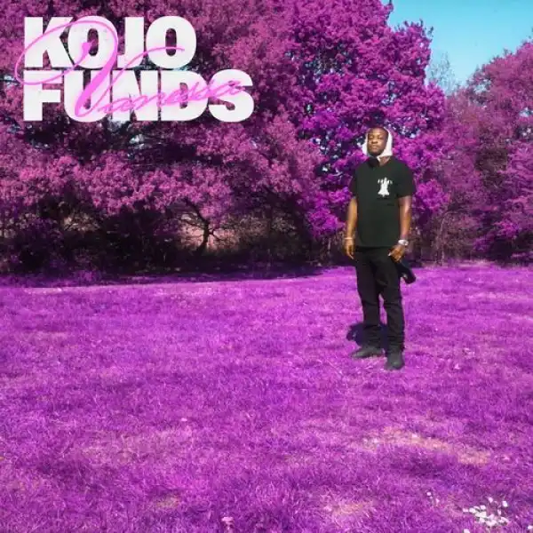 Kojo Funds – Vanessa