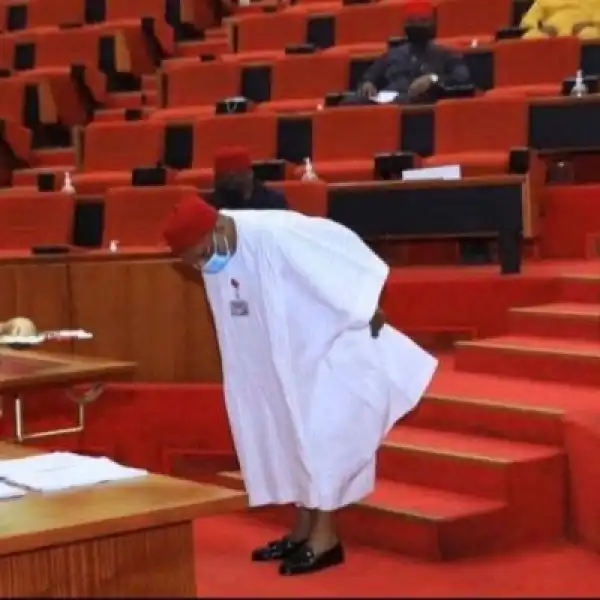 PDP Senator, Chimaroke Nnamani Sing Praises Of Tinubu