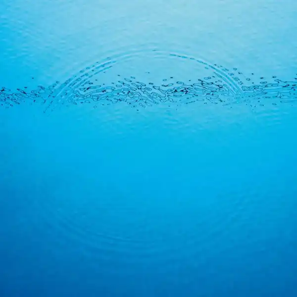 CARIBOU - Like I Loved You