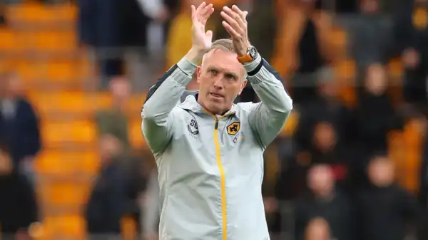 Steve Davis to remain Wolves manager until 2023