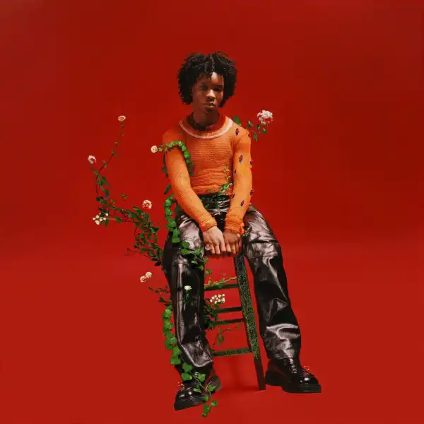 d4vd - Romantic Homicide