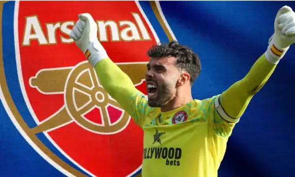 Transfer: Why we signed David Raya – Arsenal