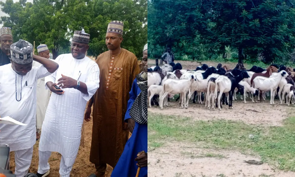 Govt returns recovered stolen livestock to rightful owners in Taraba