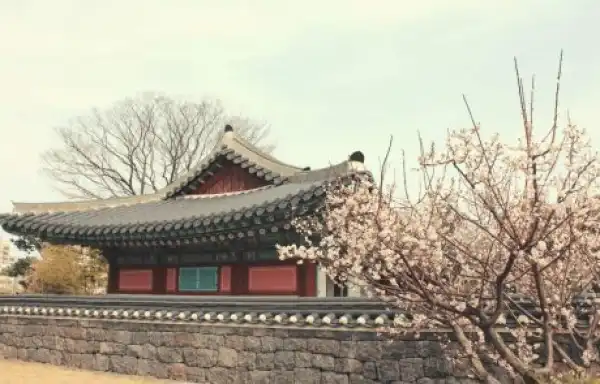 South Korean Exchanges Delist More Altcoins to Meet Banking Requirements