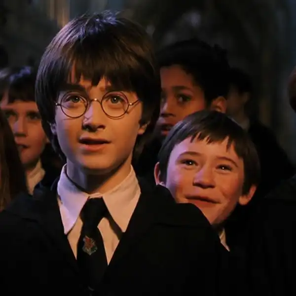 Harry Potter And The Sorcerer