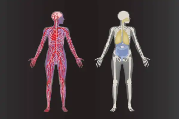 LET’S TALK!! You Have The Power To Recreate 3 Parts Of Your Body, Which Are You Recreating?