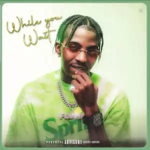 Flvme – While You Wait (EP)