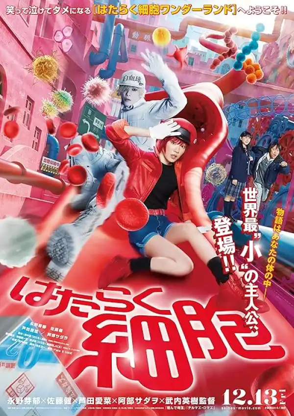 Cells at Work (2024) [Japanese]