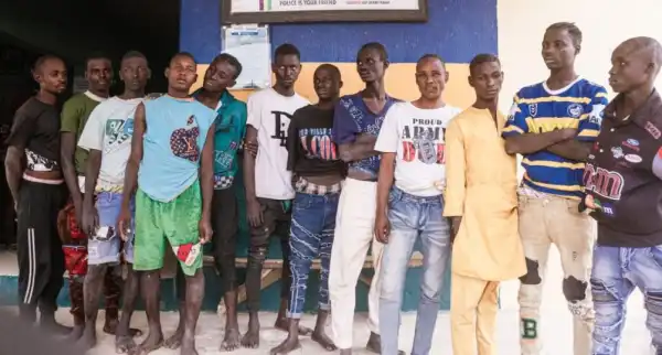 Police Arrest 30 Suspects Over Alleged Culpable Homicide, Criminal Conspiracy, Others In Yobe