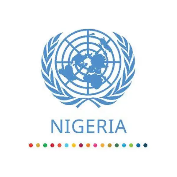 UN donates ambulances to Lagos state, restates solidarity with FG