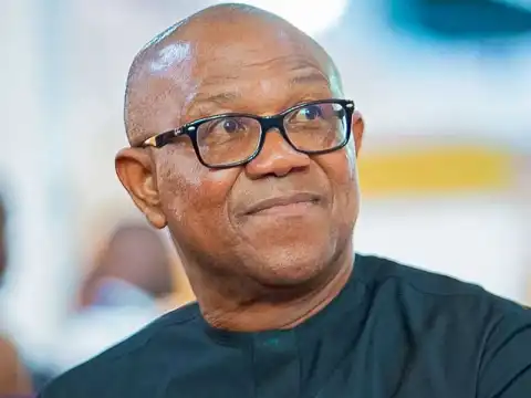 2027: Peter Obi will not be LP presidential candidate – Factional Secretary, Arabambi
