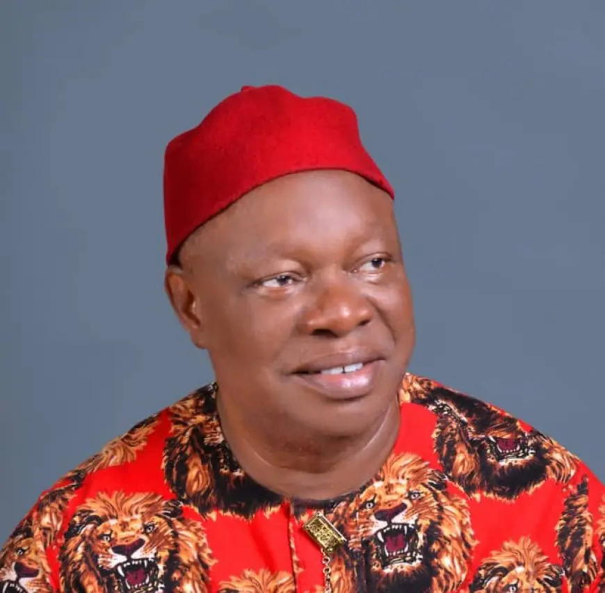Ebonyi South: Tribunal upholds Senator Okorie Ani’s election