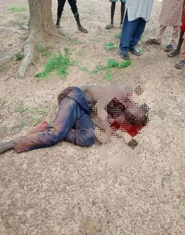 Police Neutralize Bandit, Recover AK-47 And 110 Live Ammunition In Katsina