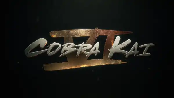 Cobra Kai Season 6 Teaser Trailer Previews Final Season of Netflix Hit