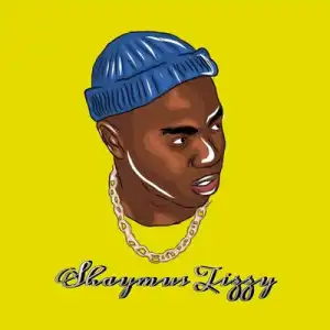 Shaymus Tizzy – Party ft. Various Artists