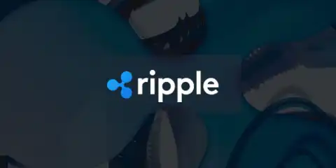 Ripple introduces new $250M creator fund for NFT development on XRP Ledger