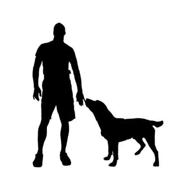 The Mechanic - S01 E11