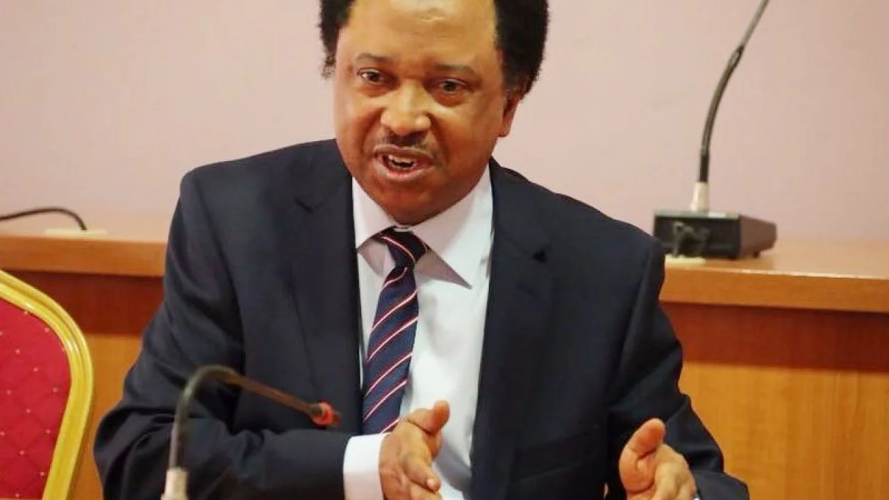 Atiku, El-Rufai, Amaechi, others frustrated over exclusion – Shehu Sani