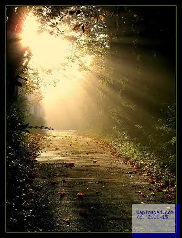 Every Disappointment Is A Blessing