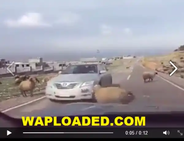 Laff!!: What do you get when you cross a Camry with a Ram?