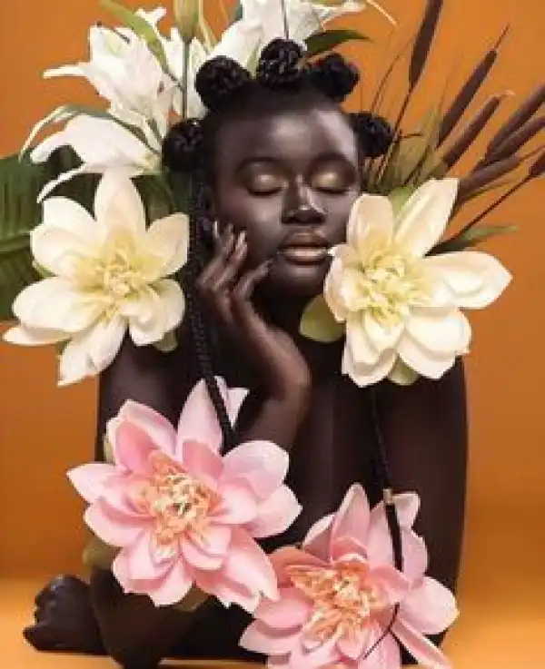 Master Planner (Life as a virgin) [completed]