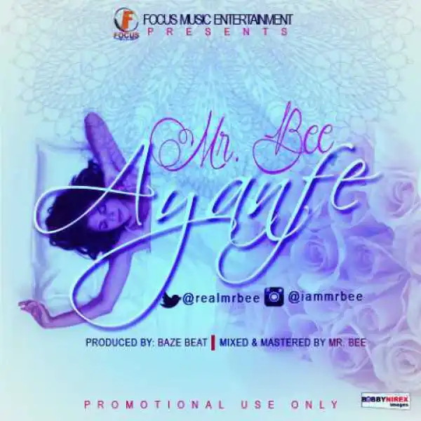 Mr Bee - Ayanfe