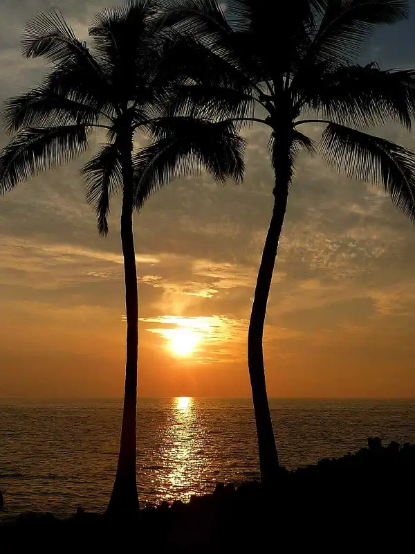 Adventures of big T [completed]