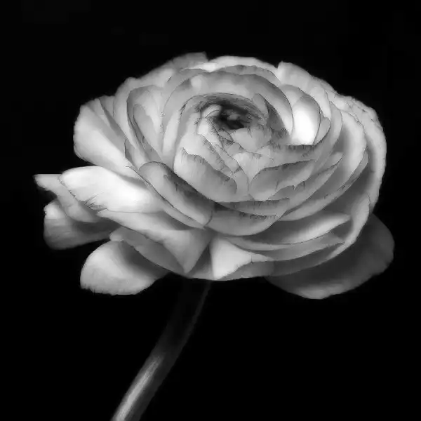 Must Read: Life’s Symphony [completed]