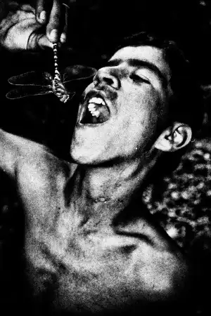 Oga Martins Season 2