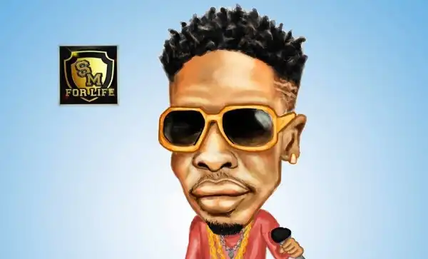 Shatta Wale - Baby (Chop Kiss)