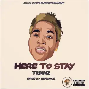Tidinz - Here To Stay