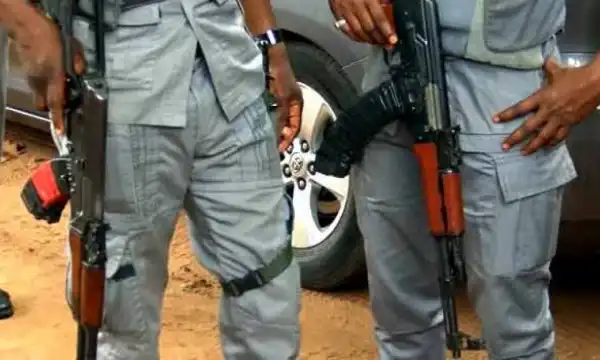 Drama As Customs Seize 94 Sacks Of Donkey Skin In Kebbi
