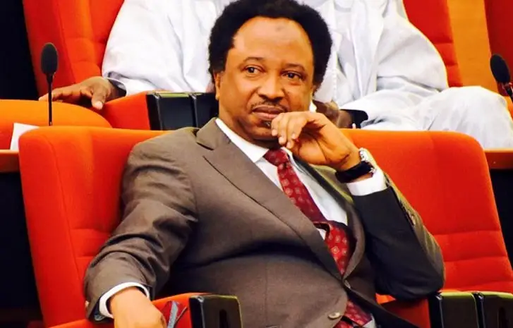 Naira notes: Buhari has limited knowledge of economics – Shehu Sani