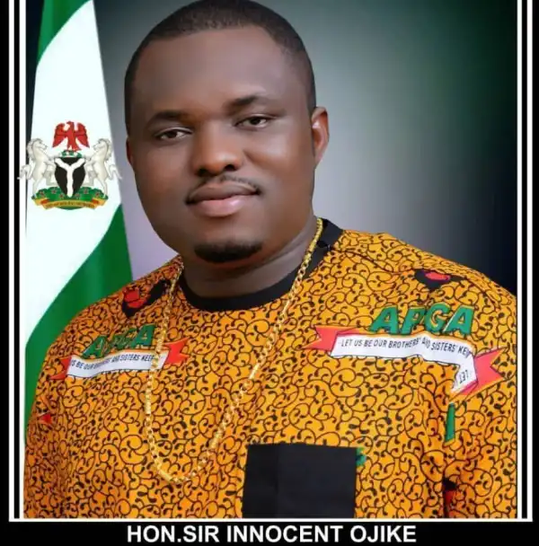 2027: Anambra lawmaker drags APGA, INEC to court over primary election result