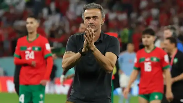 Luis Enrique confirms plans after leaving Spain job