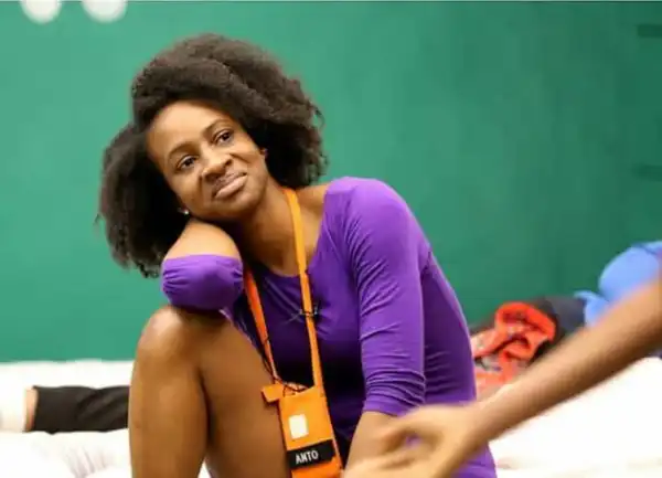 Biography & Career Of Anto