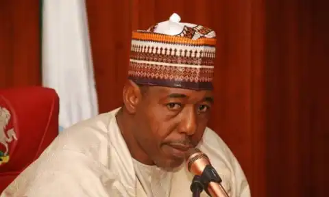 ‘Our people expect security that allows them to live peacefully’ – Zulum tells North-East govs