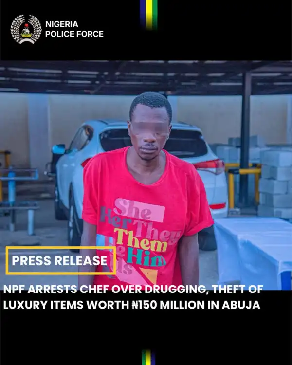 Abuja chef arrested for drugging employers, stealing N150m luxury items