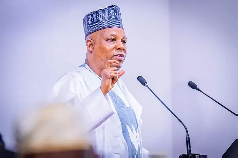 NESG delegation meets VP Shettima at State House