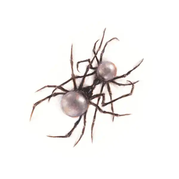 Doja Cat – Scarlet (Album)